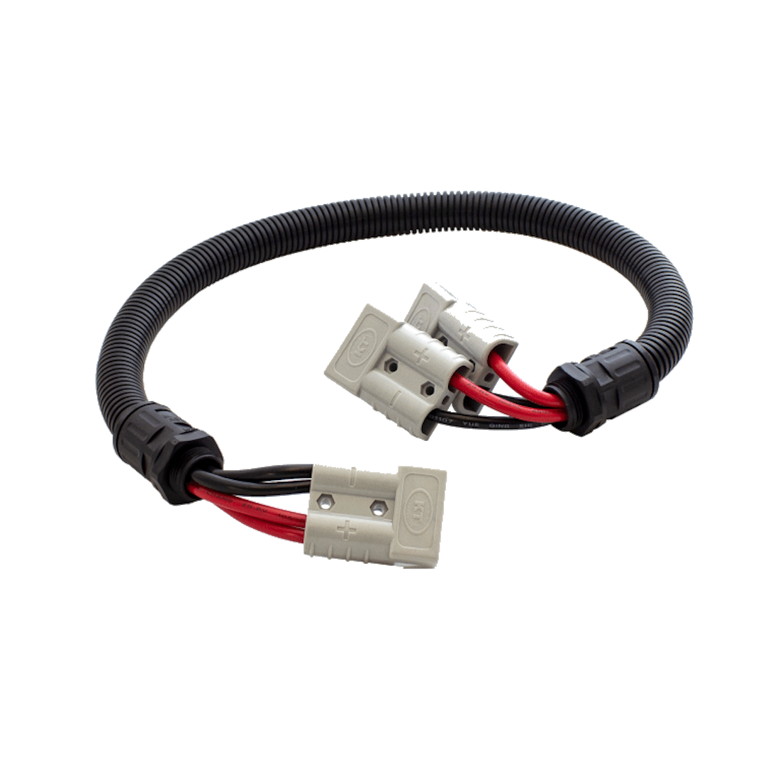 50 Amp, 12-48V Connector To Twin 50 Amp 12-48V Connectors